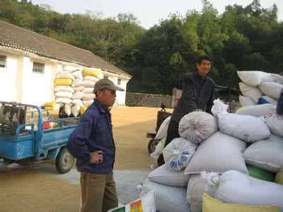 152戶農(nóng)民賣糧因地磅被做手腳被坑 商販補(bǔ)償5.82萬(wàn)元